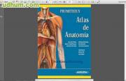 Atlas De Anatomía Humana 5ª Ed.