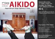 Curso De Aikido