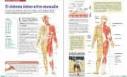 Enciclopedia De Ejercicios De Musculacion