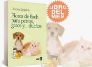Los Remedios Florales Del Doctor Bach Para Niños